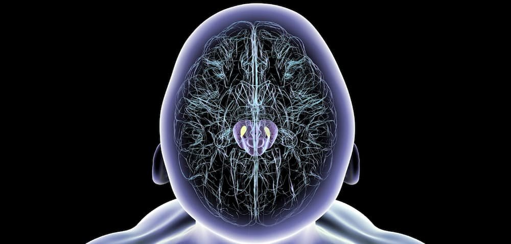 Parkinson: una diferencia cerebral explicaría el mayor riesgo en hombres