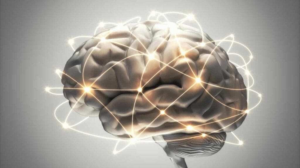 Descubren una red oculta de comunicación entre células del cerebro