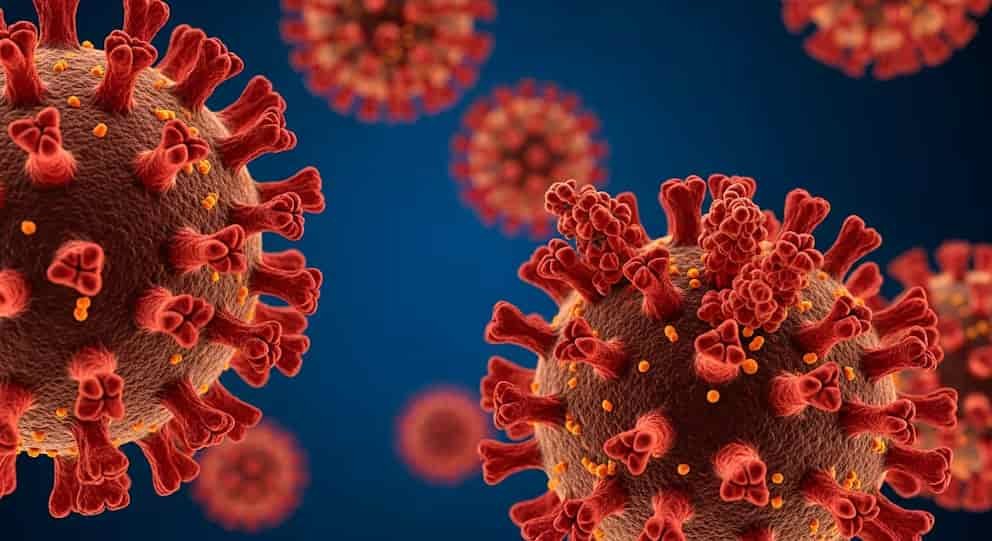COVID-19 muestra señales de crecimiento en 37 estados de EE. UU.