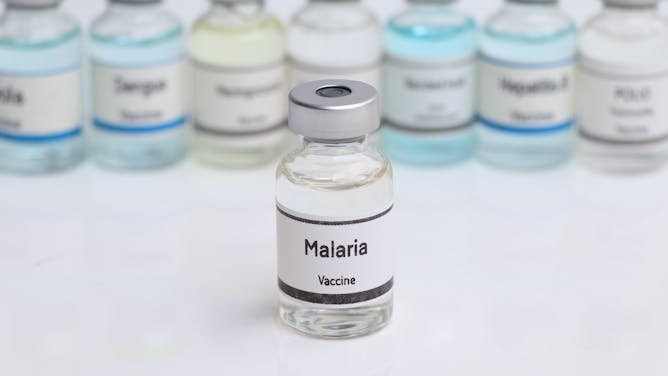 ¿Encontrará la ciencia una vacuna definitiva contra la malaria?