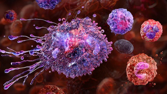 STING y el sutil arte de inflamar: por qué controlar la respuesta inmune es tan importante como activarla