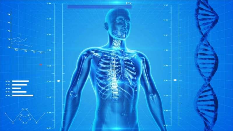 Nueva técnica muestra cómo las células construyen hueso