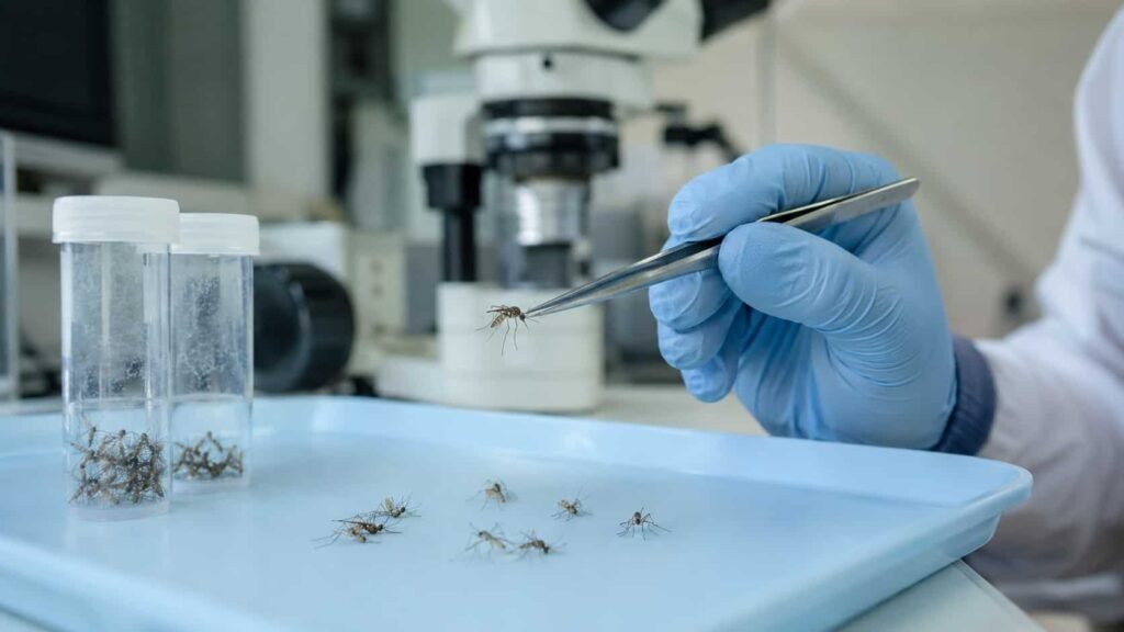 Italia y Grecia concentran los casos del virus del Nilo en Europa