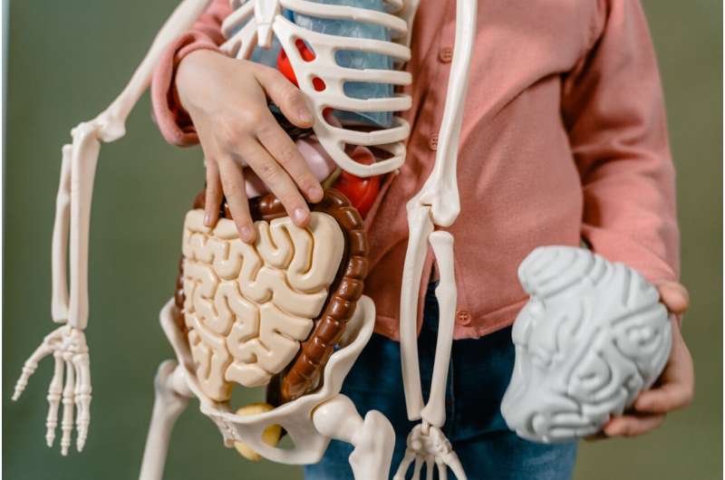 Un metabolito intestinal se vincula con el riesgo de Alzheimer