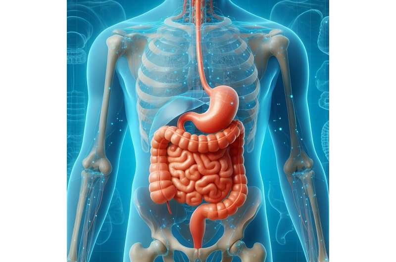 Un mapa revela cómo cooperan y compiten las bacterias intestinales