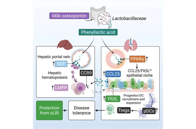 Una proteína de la leche materna refuerza la inmunidad neonatal