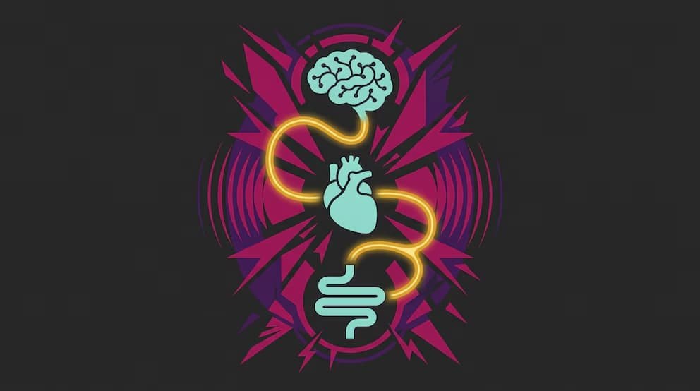 El estrés sostenido altera la conexión entre cerebro y cuerpo