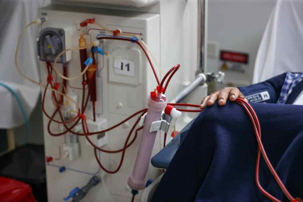 Un riñón de cerdo libera de la diálisis a un paciente durante nueve meses